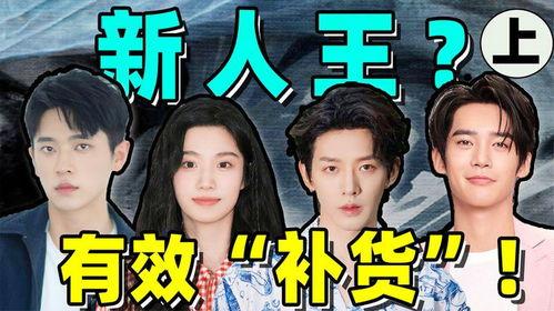 娱乐圈新人评价,新星闪耀，未来可期