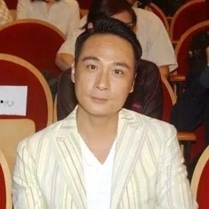 演员吴镇宇资料,从影坛新秀到实力派演员的蜕变之路